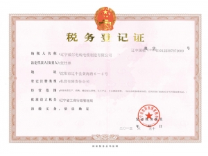 稅務(wù)登記證(1)